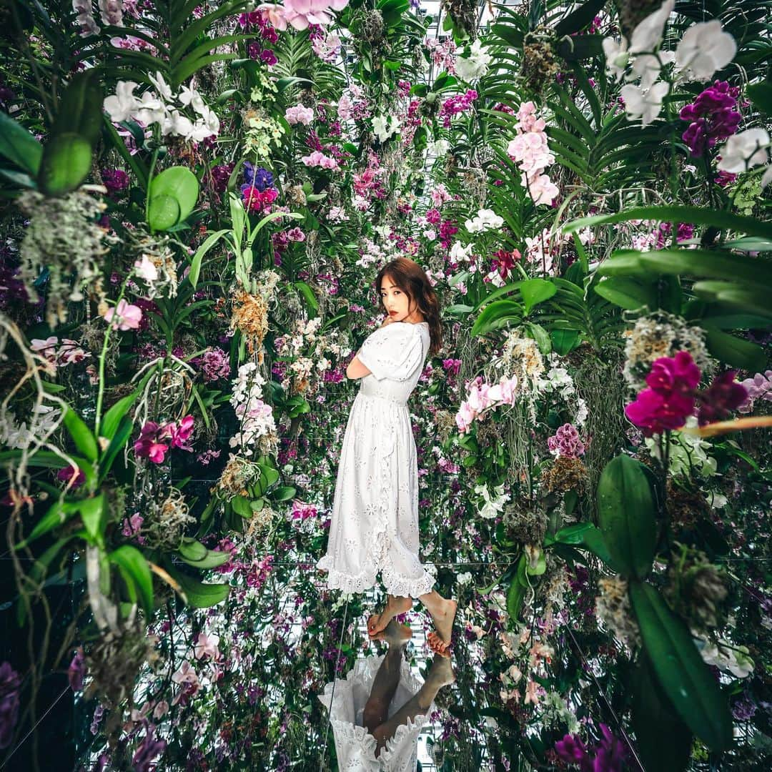 MEGUMIさんのインスタグラム写真 - (MEGUMIInstagram)「+collaborate with @rkrkrk  Thankyou @ghani.teamlab  #teamlabplanets #toyosu @teamlab.planets @teamlab #お花は全て生の蘭だよ #是非体感してほしい」6月29日 11時03分 - megumi1818