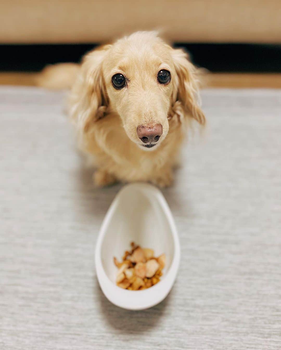 BETTYのインスタグラム