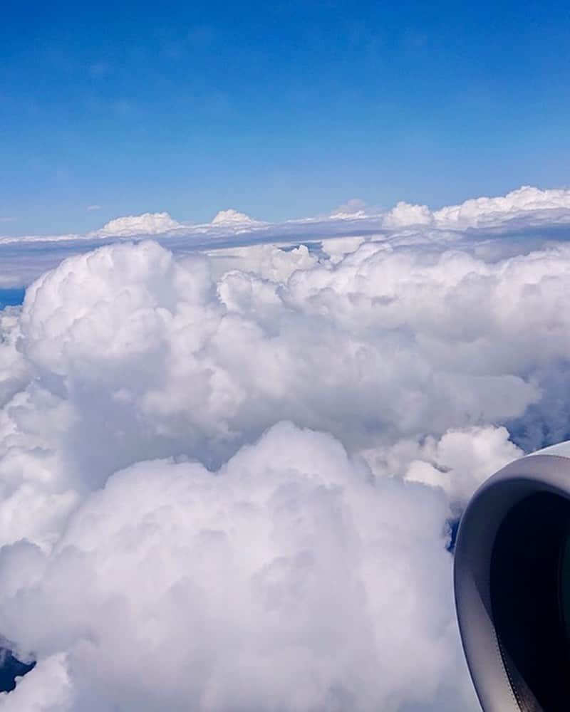 大地真央さんのインスタグラム写真 - (大地真央Instagram)「コロナ対策万全で向かっています🛫 😎✨ 朝はどんよりとした曇り空だったのに、すっかり晴れてきました🌥😊 透き通るような青空が気持ちいい〜╰(*´︶`*)╯♡  #晴れ女 #飛行機✈ #ちょっと眠い🥱 #😷 #サングラス　🕶 #帽子　🧢 #大地真央 #MAODAICHI」6月29日 15時41分 - daichimao_official