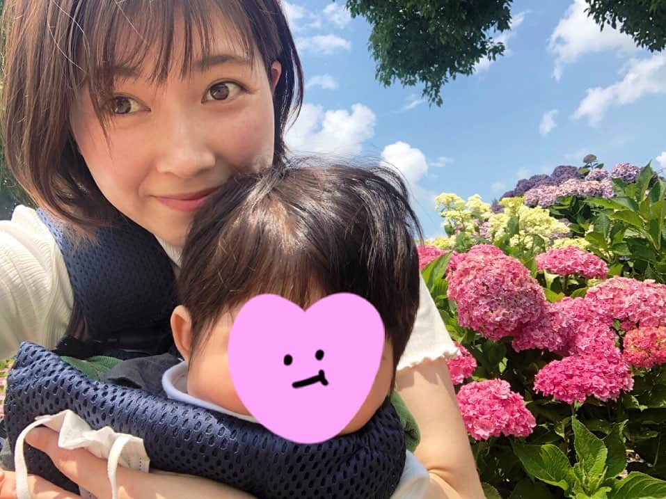 のインスタグラム：「． 紫陽花が満開🌼」
