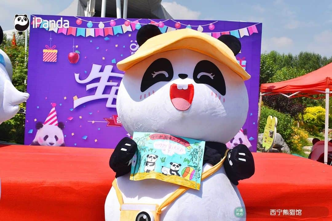 iPandaさんのインスタグラム写真 - (iPandaInstagram)「Giant pandas Qi Guo and Yuan Man turn five! A fancy party was held for Qi Guo and Yuan Man on June 27 at the Xining Panda House in northwest China's Qinghai Province to celebrate their upcoming birthdays. Nannies made an ice cake with apples and pumpkins, and panda lovers presented birthday gifts for them. Qi Guo and Yuan Man were born on July 1, 2016 and June 29, 2016 respectively.  🐼 🎂 ❤️ #Panda #iPanda #Cute #PandaPic #PandaNews」6月29日 16時08分 - ipandachannel