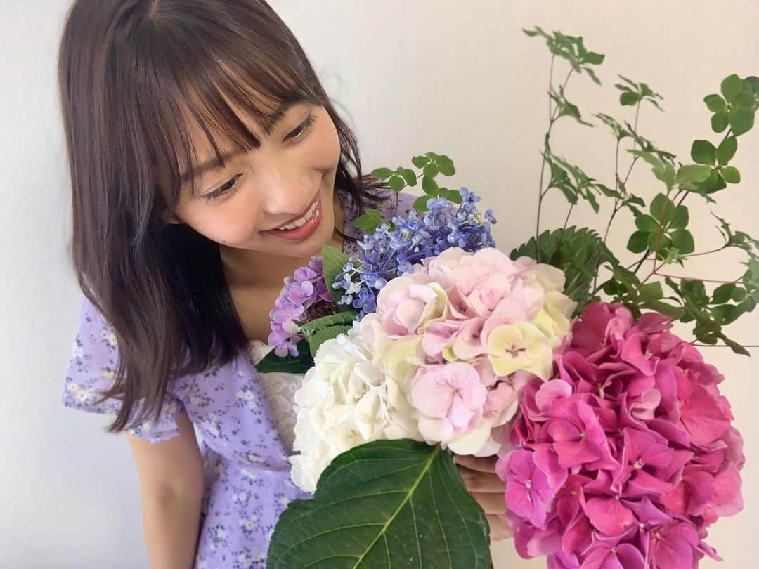 藤本万梨乃さんのインスタグラム写真 - (藤本万梨乃Instagram)「* 今週のお花プレゼントは、アジサイ✨ いろんな色があって鮮やかで癒されます😊 #めざましテレビ #お花プレゼント #アジサイ」6月29日 21時46分 - marino.fujimoto1030