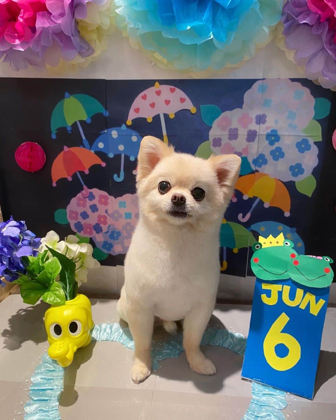 井口裕香のインスタグラム