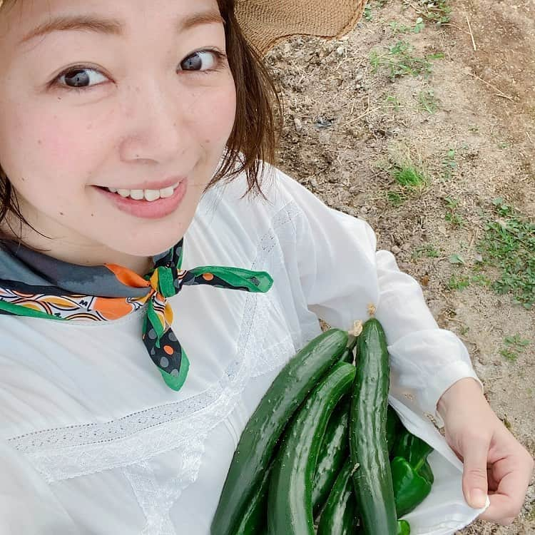 小雪さんのインスタグラム写真 - (小雪Instagram)「🥒小雪農園🍅 YouTubeアップしてます！ マイペースにもほどがある、私のYouTubeチャンネル😆 プロフィールから飛べます🙇‍♀️  #小雪農園  今日で2021年上半期終わり✏️ 初めての環境で色んな経験させてもらいました！ 新たな場所で頑張ることが出来るのも 今までがあったからだなぁ。 お世話になった事務所ノアールから独立して 個人でやるようになって一年です。 皆さまいつもありがとうございます😊  下半期も現場は楽しく！ ありがとうを大切に。良い事ほど口に出して伝える。 楽しいことはせっかくなんだから、 全力で楽しむこと。 そうじゃないと本当もったいないもんなー。  仲間たちと仕事が出来る喜びは 絶対忘れちゃいけない。当たり前に思いがちだけど、 永遠に続くことはないから。なんでもそうだけど。  プライベートは、変わらず穏やかに〜 飲んで食べて笑っていられたら最高！ 会いたい人には会えるときに会う。  よし、下半期も頑張ろう〜 元気に、笑っていこう😁 あとYouTubeもやれる時に頑張っていこう。笑😇  #長めのひとりごと」6月30日 14時01分 - koyuki2