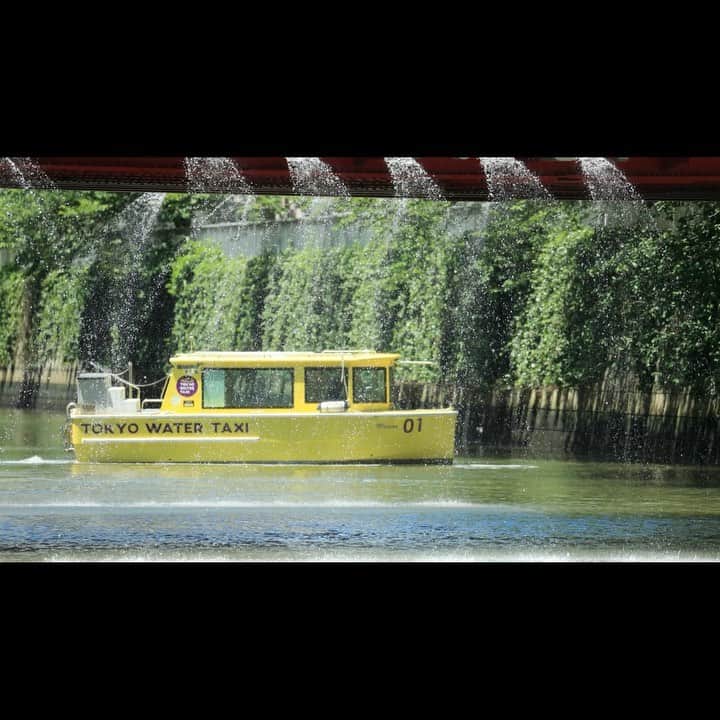 TOKYO WATER TAXIのインスタグラム：「目黒川スプラッシュ 目黒川の入り口まで、 天王洲や品川の乗り場からボートで約10分。 そこからゆっくり五反田方面に遡上してゆくと 「御成橋」が見えてきます。  桜が有名な目黒川。 これからの季節は水と緑のオアシスに変身！  もう何年も前から、 皆さんにご紹介したかったとっておきのスポットです。 ゴールデンレトリバーのようなお水が大好きなワンチャンも大喜びしそうですね！  #目黒川 #噴水 #水浴び #アトラクション #夏のレジャー #10分間の噴水 #品川区 #マイクロツーリズム東京  #楽しいこと大好き」