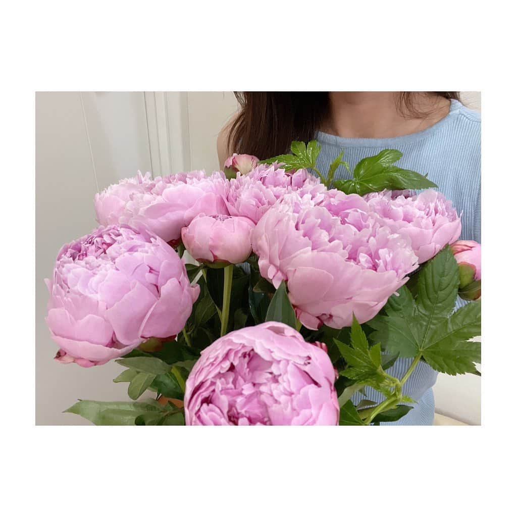 郡司恭子さんのインスタグラム写真 - (郡司恭子Instagram)「* ひとつ前の投稿🚩で たくさんのメッセージを頂きました、 ありがとうございます😊  写真はいちばん好きなお花、芍薬🌸 もうそろそろ 芍薬の季節も終わり…。 今のうちにたくさん愛でよう✨☺️  #ありがとうございます  #芍薬  #お花のある暮らし」6月30日 9時10分 - kyoko_gunji