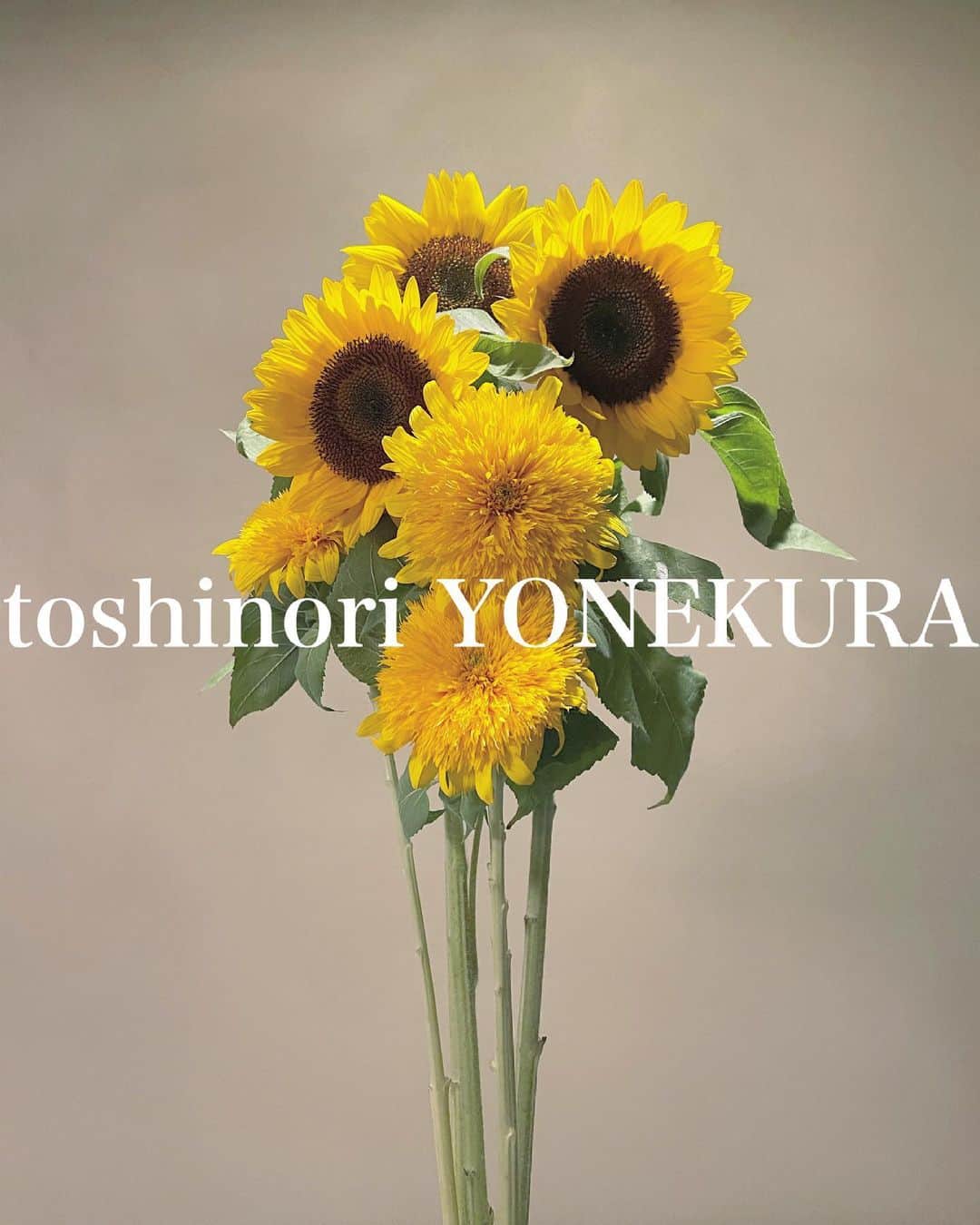 米倉利紀さんのインスタグラム写真 - (米倉利紀Instagram)「flowers of this week #男花 #花のある生活」6月30日 16時48分 - toshi_yonekura