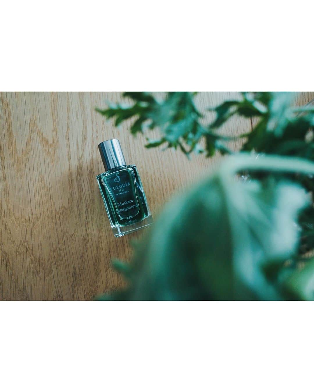 高山都さんのインスタグラム写真 - (高山都Instagram)「明日から7月。 2021年も半分終わり。 香りを新調しようと思い、 @fueguiajapan へ。 新しい自分を…と色々試したけど、香りだけはやっぱりこれが良いと、同じものをリピートしました。 ゼラニウムのみの潔さも好き。 人工的な香りが昔から得意じゃないので、とにかく香りは質の良いものを選びたい。 フエギアのものづくりが本当に素晴らしいので、選ぶのも買うのも、箱から出す行為さえ楽しい。 緑の色した佇まいも美しくてうっとり。 安くはないけど、買って後悔したことが一度もなくて、毎回空っぽになるまで使い切ってしまうほど、フエギアの香りが好き。 自分の体臭と合わさって、また変化してワタシだけの香りになるのも心地いい。 強く香らせるのが好きじゃないので、ブラと肌のあいだにシュッと吹きかけています。 変わること変わらないこと、どちらも必要で、自分と向き合って選んでいきたいなー。」6月30日 17時10分 - miyare38