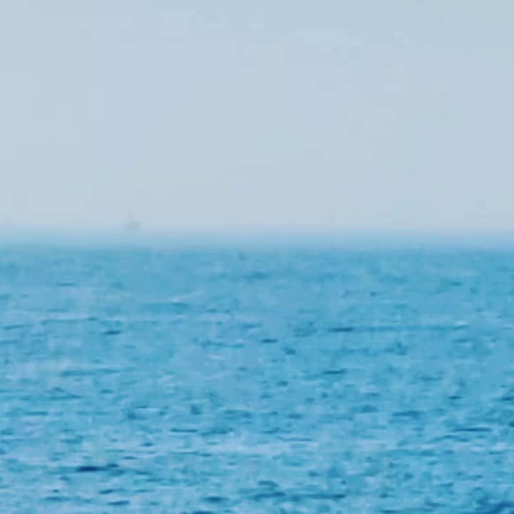 のインスタグラム：「촬영대기중 만난 돌고래 가족 🤭🤭🤭  여러분 모두 건강하고 행복하세요 🙏🏻」