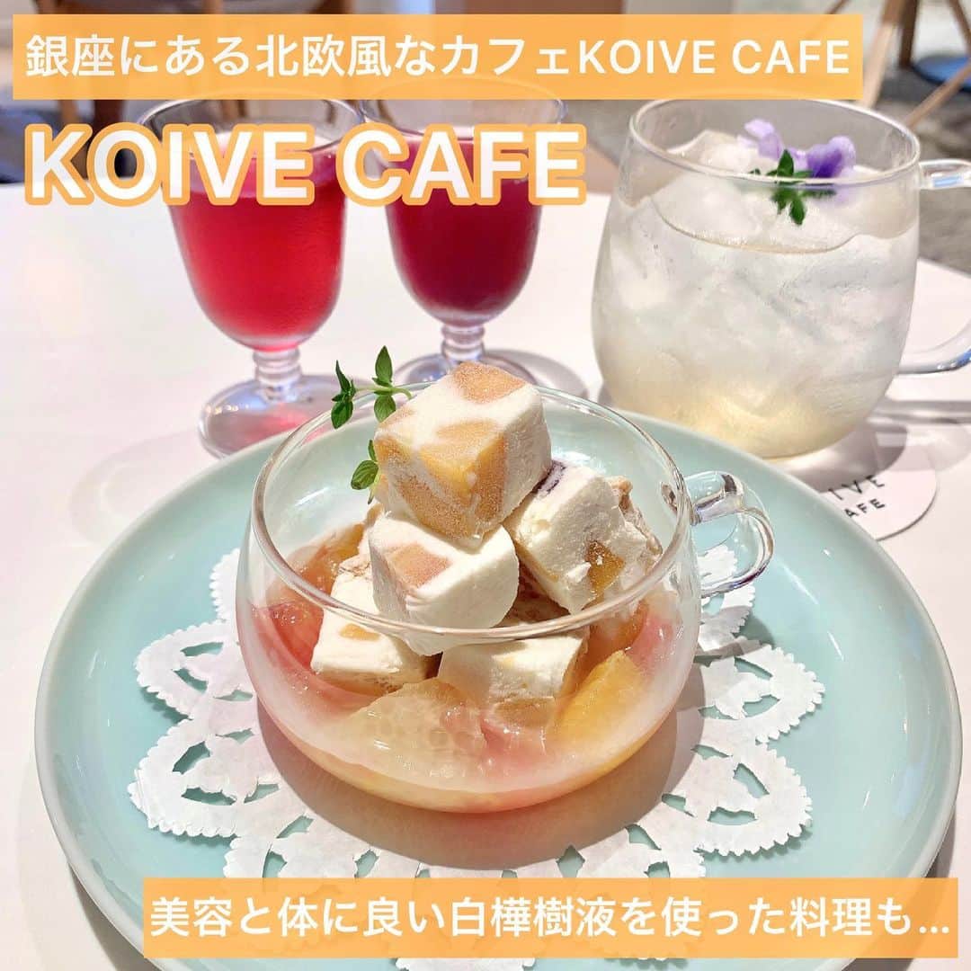 吉川ちかさんのインスタグラム写真 - (吉川ちかInstagram)「銀座に白樺の森がある 北欧風カフェ「KOIVE CAFE」 お店めちゃくちゃ可愛かった🥺💓 . 美容と体に良い白樺樹液を使った料理を食べることができるよ デザートもジュースも美味しかった👋💕 . #銀座カフェ#カフェ#カフェ巡り #koivecafe#銀座#デザート#美味しかった#女子会#カフェ好きな人と繋がりたい」6月30日 20時59分 - yoshikawachika_1116