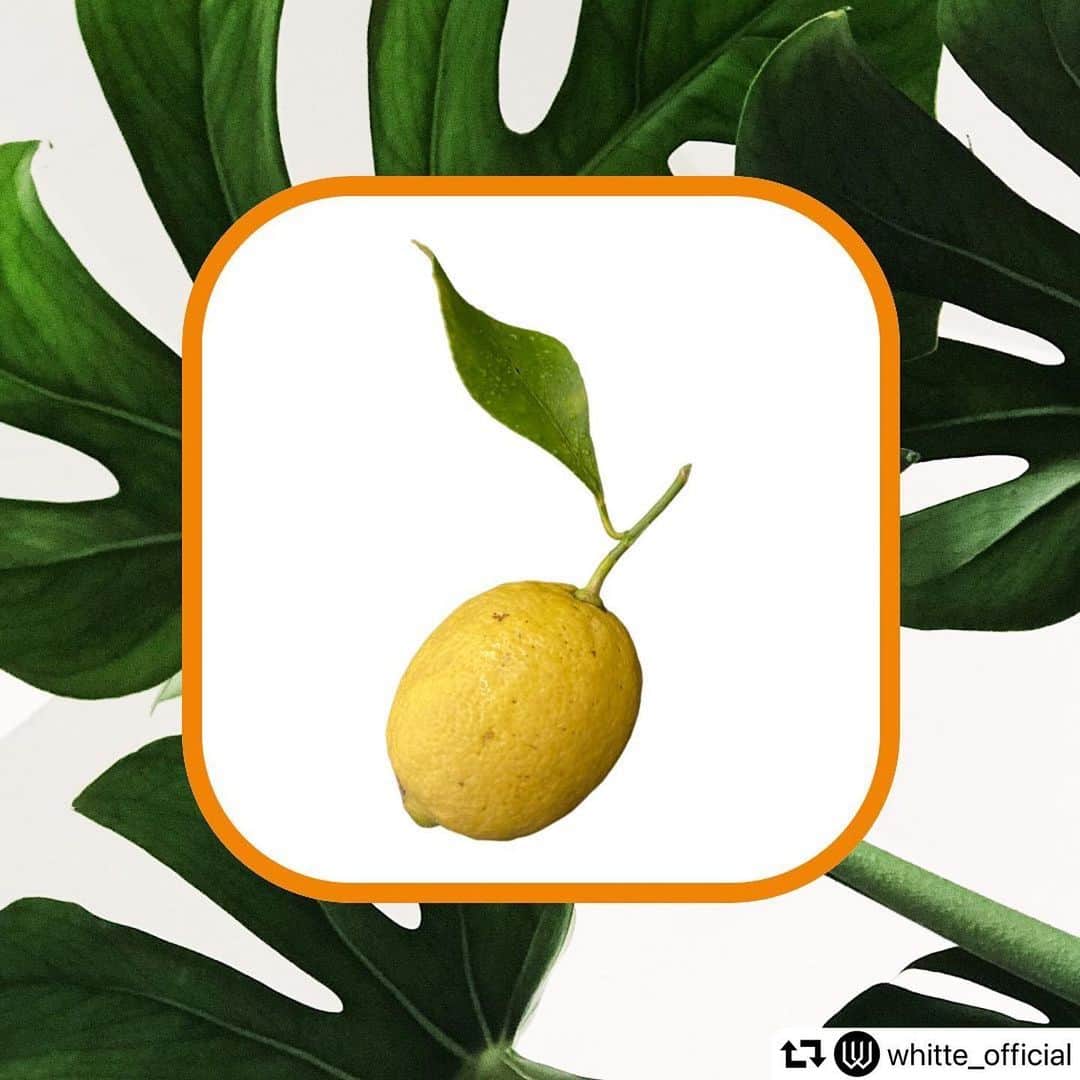 白石小百合さんのインスタグラム写真 - (白石小百合Instagram)「🍋🍋🍋  新作のマンスリーフレグランスは、レモンの香りだよ😘 爽やかなだけのレモンとは違って、よりシャープに、大地と繋がるような、深淵な香りに調香しました。ぜひ。  #repost @whitte_official ・・・ "Lucky Lemon"   Now On Sale🍋✨✨  不定期更新マンスリーフレグランス ２０２１年７月の香りは… レイニーシーズン〜夏にかけてぴったりな LUCKY LEMON の香り🍋    シャープな爽やかさの中に 樹木の落ち着きを兼ね備え 微かに射す太陽の輝きを糧に 地球と繋がる心地想起する香り    雨の日は 傘に直接ふりかけて傘から香らせたり 手荷物に忍ばせて ハンカチにそっとスプレー 湿気の多いこの時期には 重い気分を和らげる効果も     詳しくはオンラインストアにて➡️https://shop.whitteinc.com/products/0721-monthly-fragrance  ⚫︎ＬＬ"Lucky Lemon" の由来  ウィッテアトリエサロンの庭には 立派なレモンの木がありました 作業の日も来客の日もイベントの日も そして、晴れの日も雨の日も。 いつもそこにいて  いつも青々とした黄色を見せてくれて いつしかそのレモンを “ラッキーレモン”と呼ぶように。  A little wit in your life, with Whitte.  #fragrance #whitte #perfume #airspray #lemonscent #fragrancecollection」7月1日 13時08分 - sayurishirais