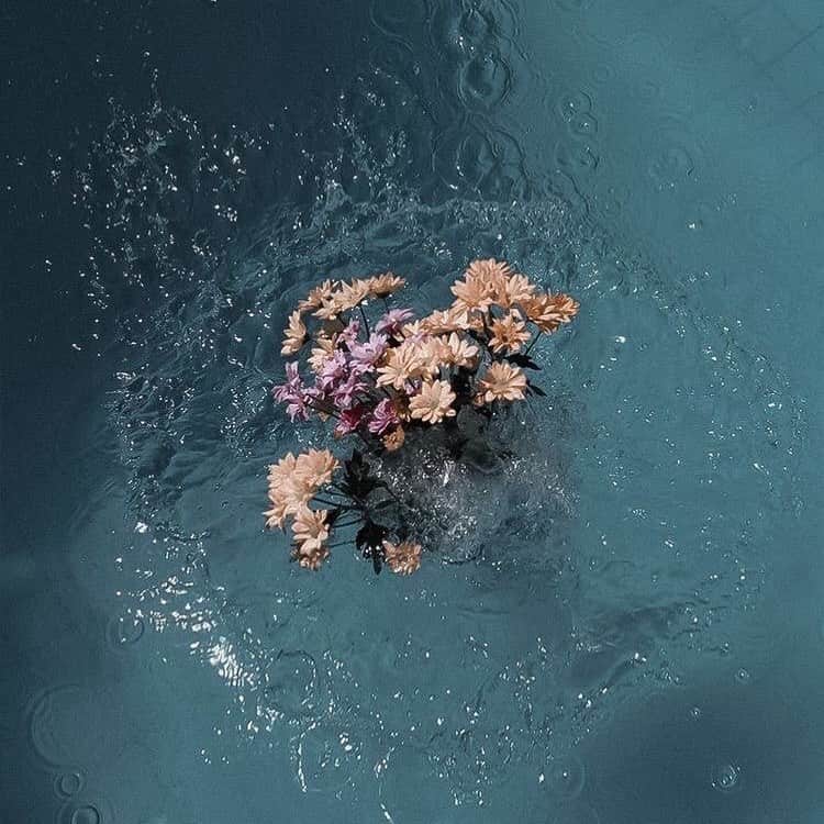 Ruuのインスタグラム