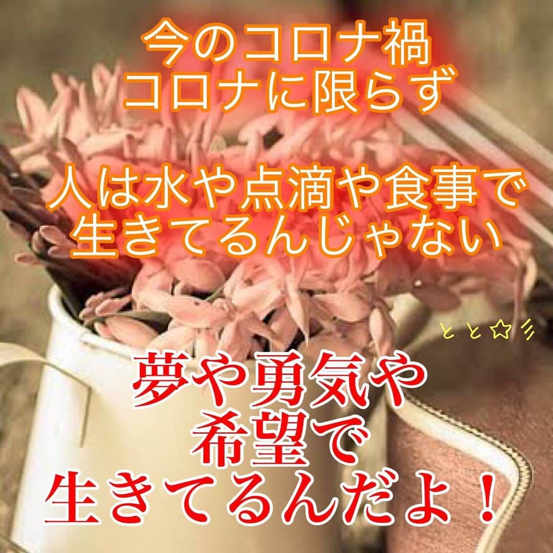 恋愛ととさんさんのインスタグラム写真 - (恋愛ととさんInstagram)「恋愛ポエム　恋愛ポエム画像です love poem image ToTo☆彡  とと☆彡 #love #poem #lovepoem #lovepoemimege #恋愛ポエム #ポエム #ポエム画像 #恋愛ポエム #恋愛ポエム画像 #ポエマー #恋愛ポエマー」7月2日 3時36分 - kyoto.official_