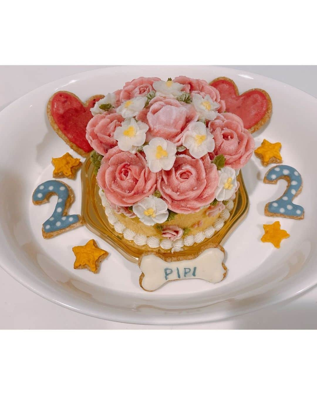 桜もこさんのインスタグラム写真 - (桜もこInstagram)「ぴぴの2歳のお誕生日🐶💗 ケーキは @dogcat_cakeshop_atelier_cadog  さんで注文しました🎂  #ポメラニアン　#愛犬　#ぴぴ　#ケーキ　#祝　#🎁　#happybirthday #japanesegirl #japanesemodel #instagram」7月1日 20時00分 - mokochan319