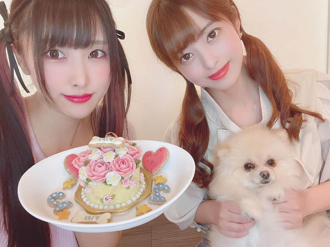 桜もこさんのインスタグラム写真 - (桜もこInstagram)「ぴぴバーズデー💓  #ポメラニアン #愛犬　#happy birthday #cake #ケーキ　#🎂　#instagram」7月1日 20時45分 - mokochan319