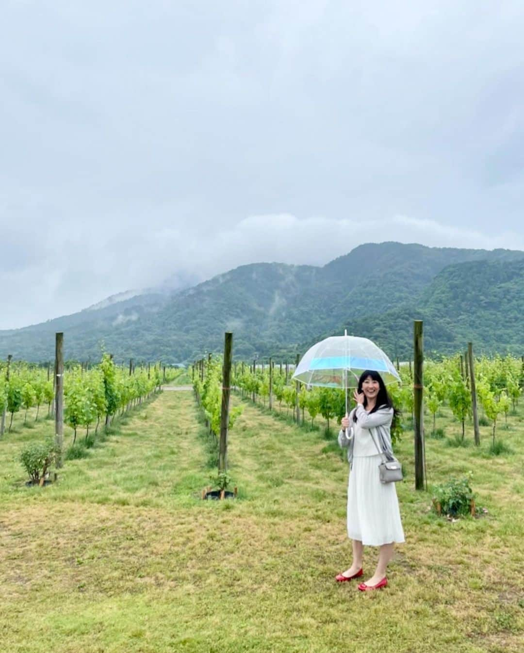 土屋香織さんのインスタグラム写真 - (土屋香織Instagram)「🍇新潟 ℂ𝔸𝕍𝔼 𝔻’𝕆ℂℂ𝕀 𝕎𝕚𝕟𝕖𝕣𝕪 🍾 まずはワイナリー見学からスタート🍷 角田浜の砂質土壌で育てられたぶどう🍇 ここのワインはさらさらと飲める感じが特徴。 . 巨大な機械がいっぱい並んでました。 ぶどうの収穫時期に見学に来ると 実際にマシンでぶどうの実を取ったり絞ってる様子などを 見られるみたいです♬ . 創業時の1番最初に完成したワインも棚に発見。 . 今回飲む機会がなかった動物シリーズも気になります🦔♡ 醸造家の方曰く 動物シリーズはジャズのイメージ セパージュシリーズ（だったかな？）はクラシック ファンピーシリーズはJ-POPのイメージらしいです😌 . ひんやりした地下から鉄格子の外へ。 階段を上がったら いよいよカーブドッチのワインとペアリングのお食事🍽🍷🍾 . . . #カーブドッチ #カーブドッチワイナリー #東京女子部 #新潟旅行 #新潟県 #かおvoyage #かおgourmet #ワイナリー #オーベルジュ #ワイナリーホテル #たびすたぐらむ #レストラントラヴィーニュ #旅行好きな人と繋がりたい #旅行好き女子 #ワイナリーツアー #日本ワイン #retrip_nippon #retrip_japan #タビジョ #genic_japan #beautifuldestinations #icotto #tabigenic #旅行好き女子 #iamatraveler #stayway女子旅 #otonatabi_japan #beautifulhotels #beautifuldestinations #ぶどう畑 #ワイン好きな人と繋がりたい #winery」7月1日 21時18分 - kaorintsuchiya