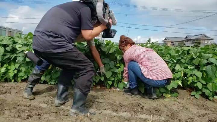 森本晴香のインスタグラム