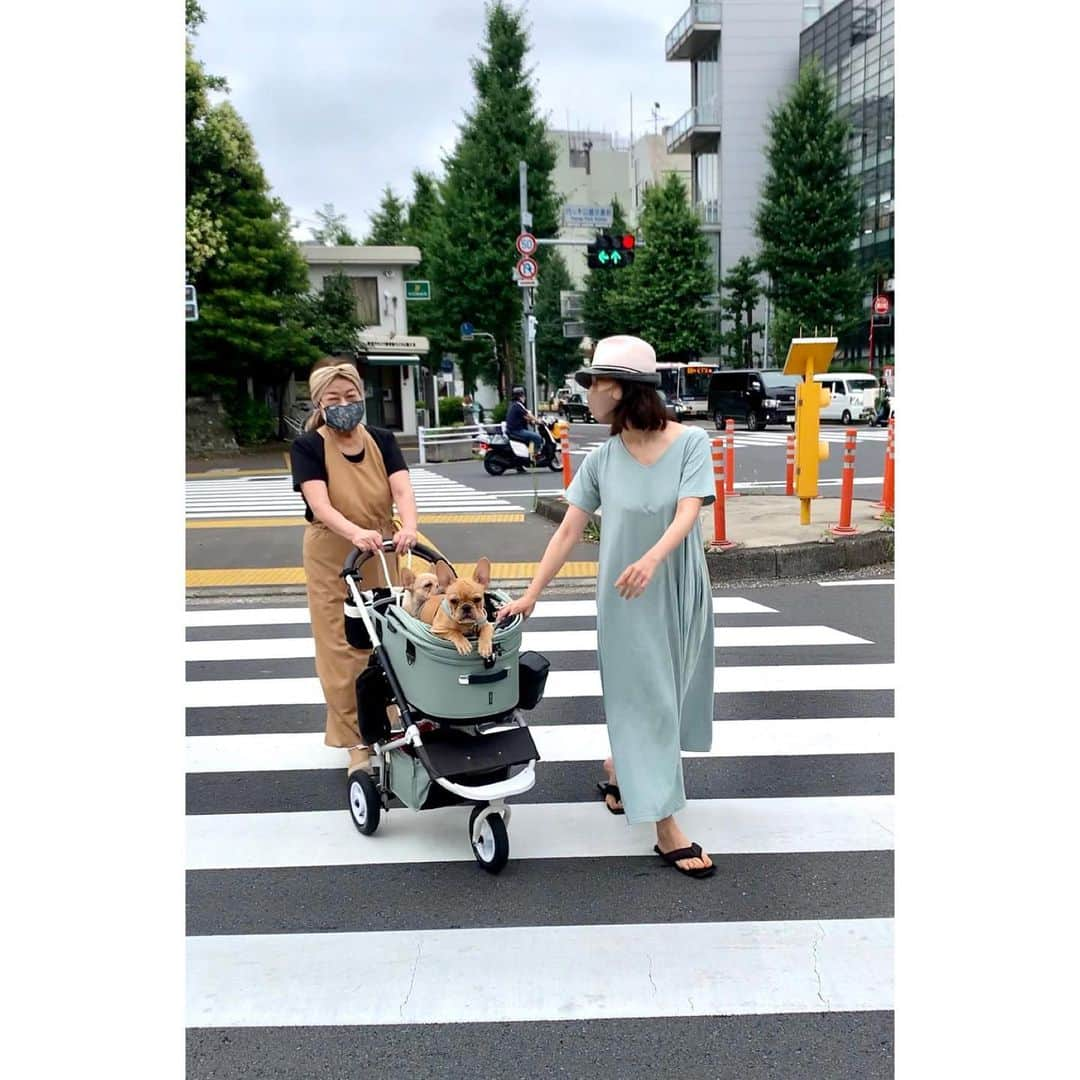 月船さららさんのインスタグラム写真 - (月船さららInstagram)「家族がヴァルとモニカに会いに来てくれましたの。 母も姉もメロメロ。」7月1日 23時05分 - sarara_tsukifune