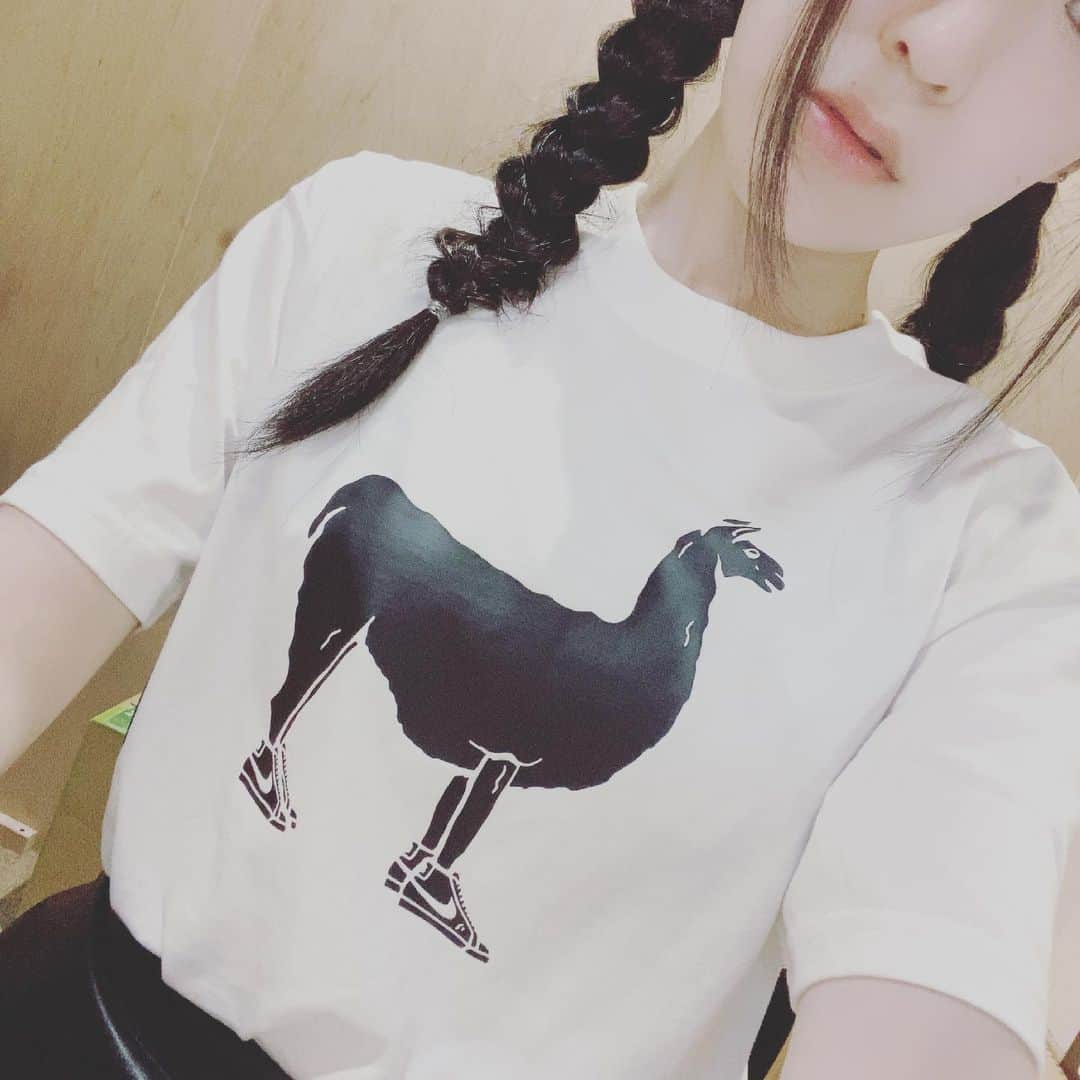 近藤みきのインスタグラム：「ラマT！🦙   知り合いが着てるのみて、アルパカかわいいー！真似していい！？って即購入した。   アルパカじゃなくてラマだった…   🦙 #アルパカ #ラマ #Tシャツ #かわいい #NIKE #🦙」