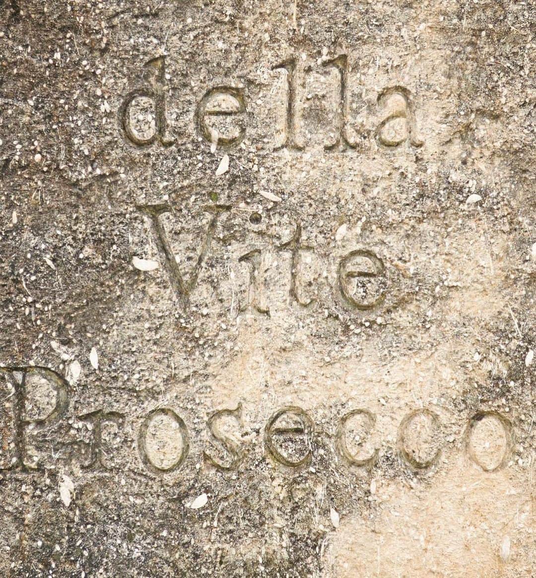 カーラ・デルヴィーニュさんのインスタグラム写真 - (カーラ・デルヴィーニュInstagram)「We always knew we were going to call our Prosecco @della_vite because it means ‘of the vine’ in Italian (and sounds nicely similar to Delevingne). While driving through the roads of Valdobbiadene visiting wineries, we stumbled across this old stone sign, and knew it was meant to be.」7月2日 8時03分 - caradelevingne