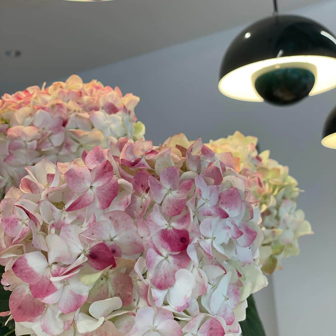 佐野友妃子さんのインスタグラム写真 - (佐野友妃子Instagram)「Good Morning☔️🤍  紫陽花がかわいかったので🤳 梅雨の長い雨にも耐え凜として咲く強く美しいお花🌼  .」7月2日 9時20分 - yukikosano1111