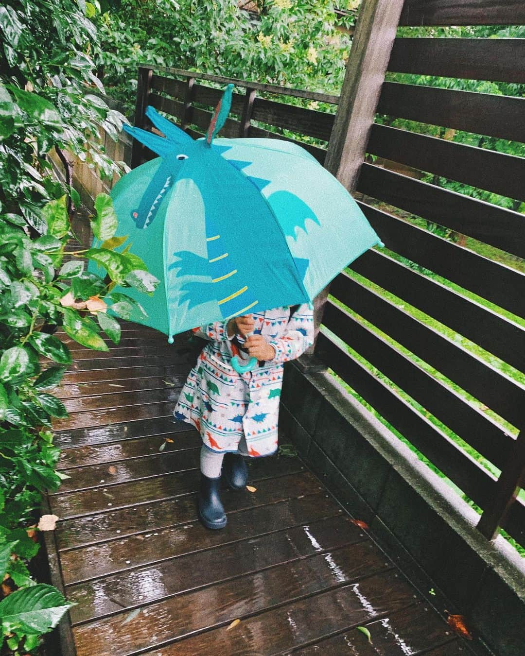 宇藤えみのインスタグラム：「7月に入ってやっと梅雨らしくなったねぇ☔️ けど昨日といい保育園の送り向かいの時間が大雨で大変過ぎる😑 ミミズ、ナメクジ探しでなかなか進まない… 坊は恐竜の傘に恐竜のレインコートに恐竜のリュックに 雨の日ルンルン♪🦖 横で母さん白目。w 今日は金曜日✌︎ #暮らし」