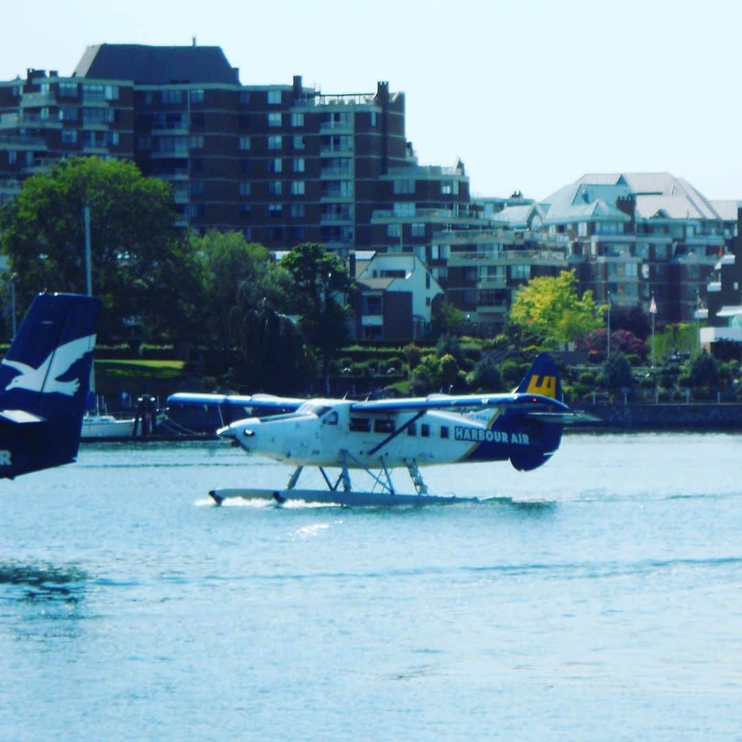 神津源一郎さんのインスタグラム写真 - (神津源一郎Instagram)「Victoria Canada」7月31日 15時36分 - tomo__tokyo