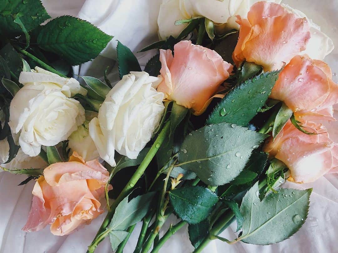 IVANさんのインスタグラム写真 - (IVANInstagram)「💐✨💧✨💘 Roses ♡  素敵な週末に #rose#flowers#love」7月31日 14時14分 - fresanaca