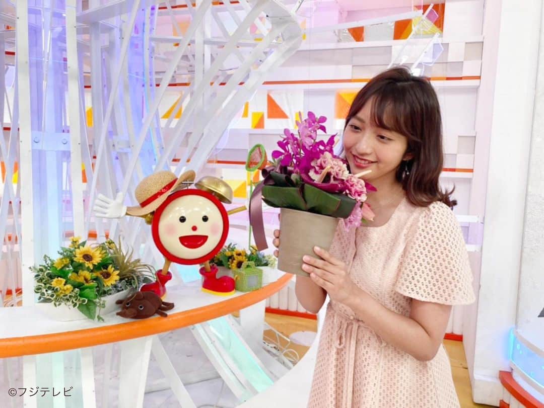 フジテレビ「めざましテレビ」さんのインスタグラム写真 - (フジテレビ「めざましテレビ」Instagram)「. きょうのお花は「アンスリウム」🌺 ハワイでは 「ハート・オブ・ハワイ」といわれ バレンタインデーに贈られる花として 親しまれているんだよ❤️ お部屋にかざってトロピカルで ハートフルな気分を楽しんじゃおう😁  #めざましテレビ #お花プレゼント #アンスリウム #トロピカルフラワー  #ハワイ #ハートオブハワイ #バレンタインデー #花束 #フラワーギフト #めざましくん #花のある暮らし」7月27日 12時55分 - mezamashi.tv