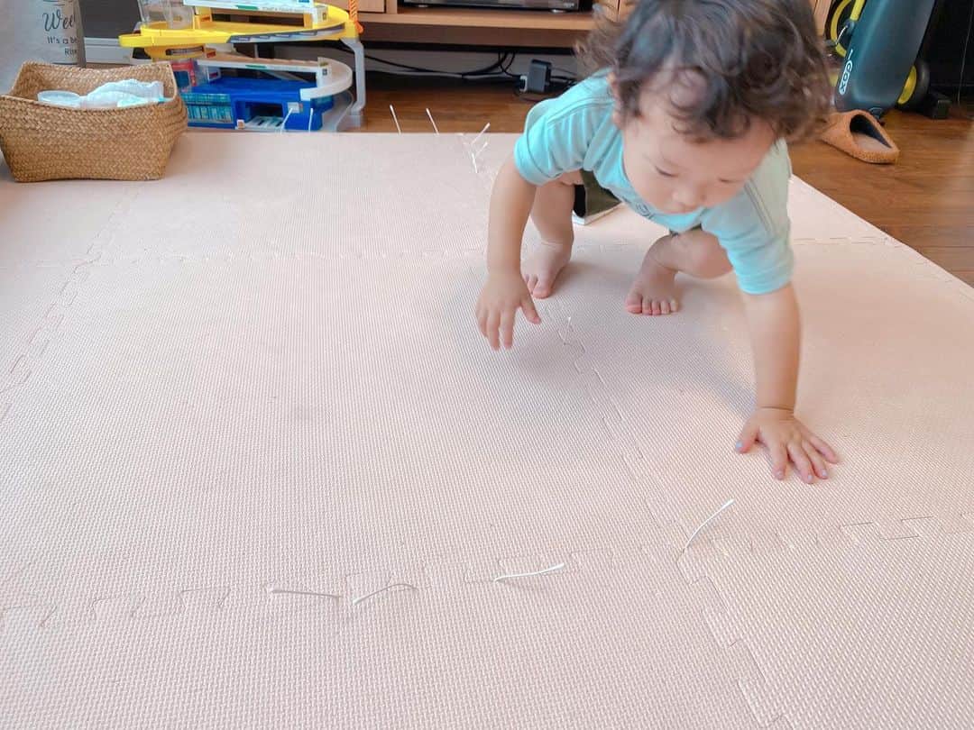 江原千鶴（エハラチヅル）のインスタグラム：「綿棒でチンアナゴ？！  #うたくん」
