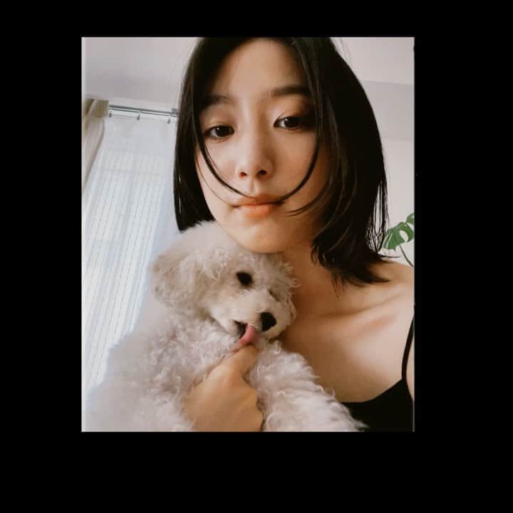 坂東希のインスタグラム：「ねこなう」