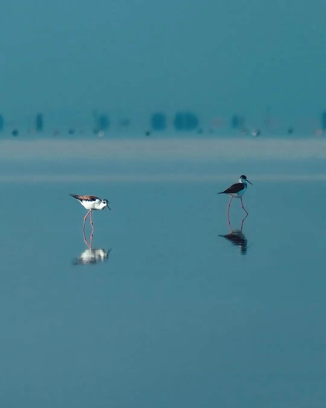 Nature|Folk|Portrait|Videoのインスタグラム