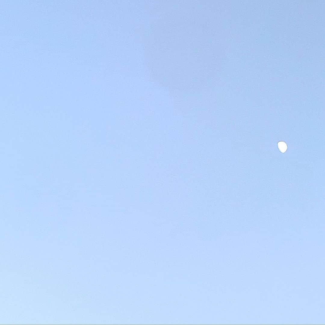 増田ねねのインスタグラム：「🌙」