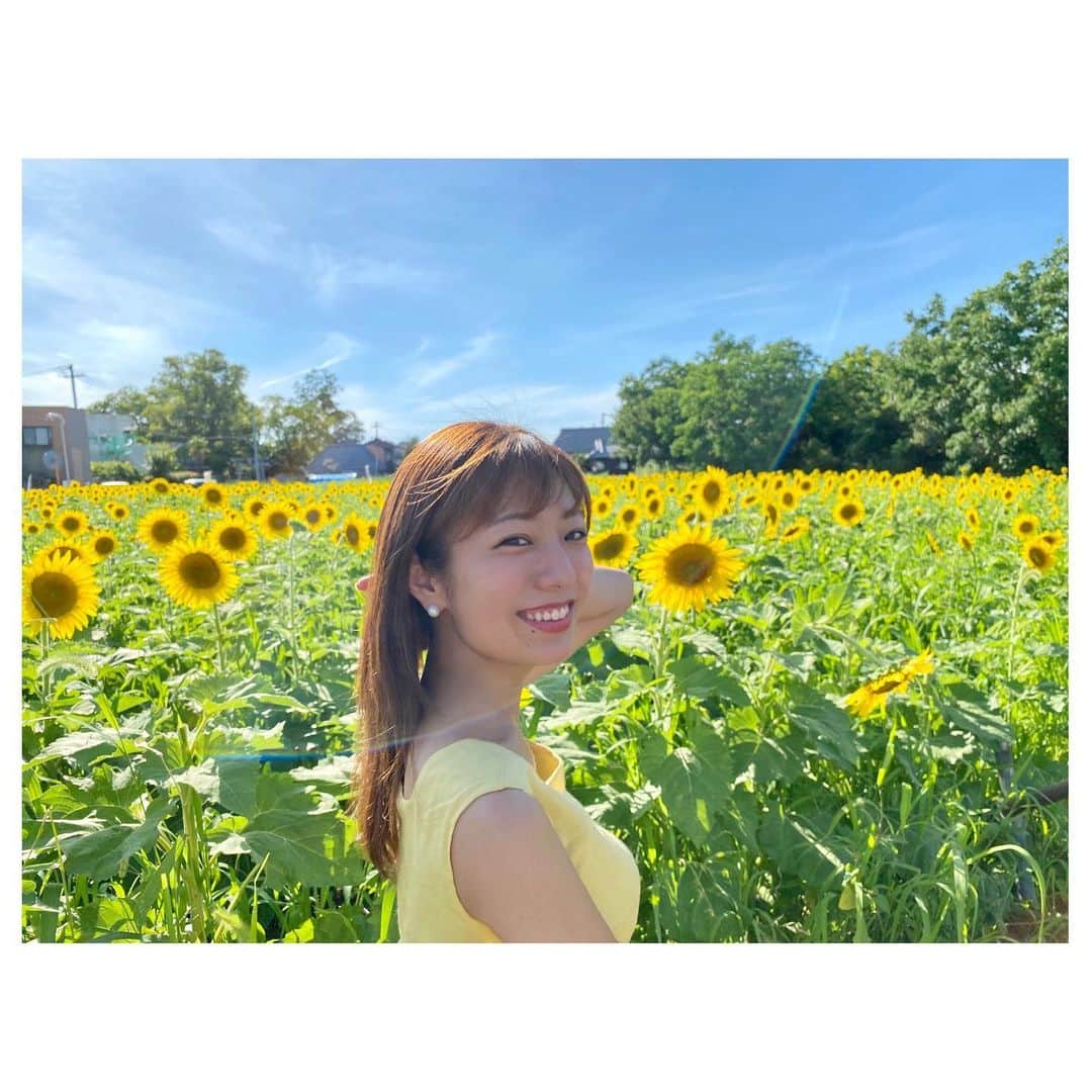 のインスタグラム：「☁️ . ひまわり投稿続きます🌻🌻 こうやってすぐに車で行ける距離に 大好きなお花に囲まれる空間があるって幸せ🥰 . iPhone12 Pro Maxが欲しくなった、夏。」