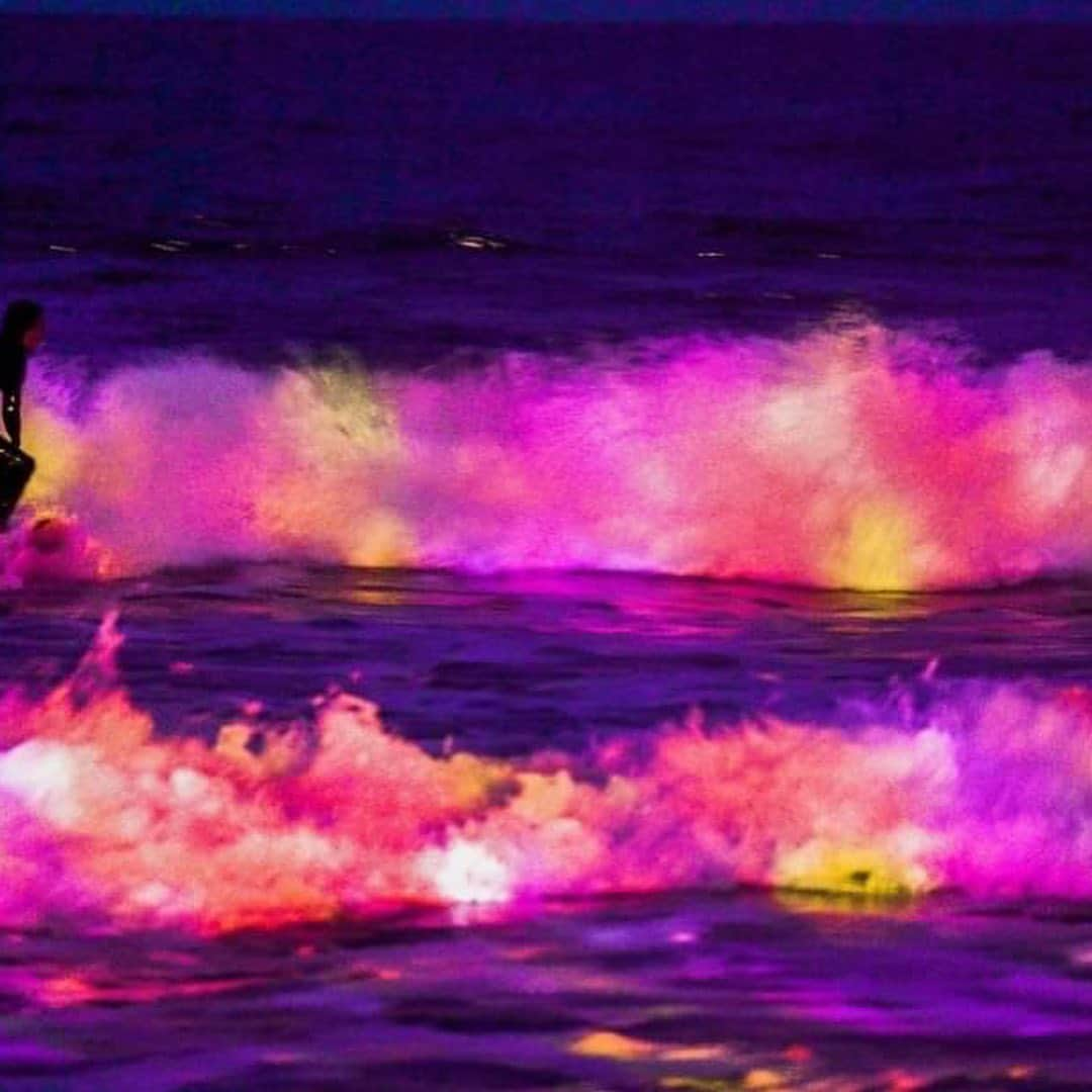 猪子寿之さんのインスタグラム写真 - (猪子寿之Instagram)「#teamlab  Flowers Bloom When the Waves Rise  海が立ち上がる時花が咲く　#チームラボ   https://www.teamlab.art/e/sea_of_shikoku/  海が力強く立ち上がり波が生まれた時、花が咲く。その波が海の一部に戻る束の間だけ、花が咲く。 海が力強く立ち上がり波が生まれた時、生命が花開くような、強い生命の息吹を感じる。波の一つ一つが生命であるかのようにすら見える。しかし、波が崩れ落ちて消えた時、儚さとともに、それが海の一部だったことに気が付く。そしてその海は全ての海と繋がっていて、つまりは、世界中の全ての波は、繋がりあっているのだ。 波が生命に見えるのは、生命とは、力強く立ち上がった波のようなものだからだ。それは、全て連続的につながりあった一つの大海から、一度もとぎれることなく連続的に立ち上がり続ける、奇跡的な現象なのだ。  Flowers bloom when the waves rise. The flowers continue to bloom only for a short time, until the wave becomes a part of the ocean once more.  When the waves rise, we can feel a powerful breath of life, as though life is blooming. It feels as though each wave has a life of its own. But when the waves collapse and disappear, we realize, with a sense of fragility, that they were a part of the ocean. And that ocean is connected to all of the other oceans. In other words, all of the waves in the world are connected to each other. The waves seem alive because life is like a rising wave. It is a miraculous phenomenon that continuously emerges from a single, continuous ocean.  #waves #wave #surfing #surfer #ocean #art」7月27日 22時03分 - inoko.teamlab