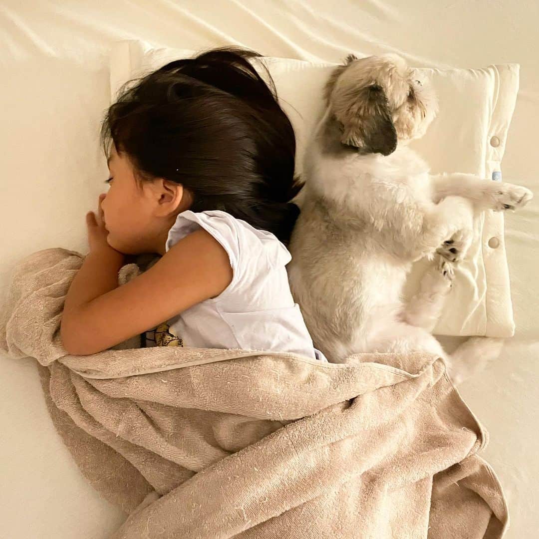秋定麻紀子のインスタグラム：「こんな可愛い光景ってあり得るの？？  ってくらい愛しい。  子供専用枕を仲良く一緒に使ってるの。 小ちゃい枕なのに。  ずっとそのままで居て欲しい。。 もちろん成長も楽しみなんだけど。  @brainsleep_official の 枕とマットレスが欠かせない生活に。 大人用枕は3つ。 娘が1つ。 そしてマットレス。  この時期は感動するくらい涼しい。 睡眠の快適ってまさにこの事。  人は普段どれだけ体内に熱をこもらせているのかが分かる。  そして子供も同じ。 枕とマットレスを変えてから 寝汗ほぼかかず、寝返りも全然しなくなった。 起きるのは夜中のおトイレだけ。  赤ちゃんの頃から 睡眠と食事は上質にさせたいと思ってて、子供に合う枕もずっと探していた。  周りからも問い合わせが多く 大人も子供も枕難民が多いなと実感しています。  上質な睡眠とは？ 脳のために自分ができる事は？ 子供にとって睡眠がどれだけ大事か。  改めて考えて欲しい。  @brainsleep_official  @zzzland_official」