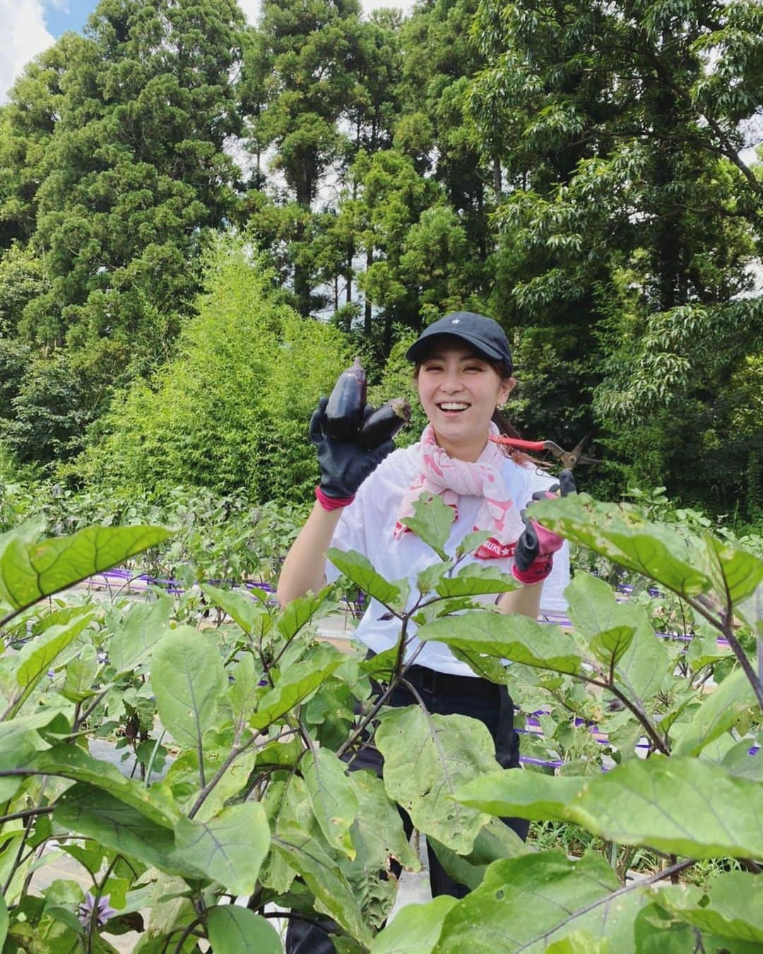 石川恋さんのインスタグラム写真 - (石川恋Instagram)「#恋の畑日記 🍆 梅雨があったり、お仕事がバタバタしていたこともあって 久々の畑になってしまいました。 今回は夏野菜たちを収穫❤️‍🔥 いろいろな種類の茄子、ピーマン、きゅうり、 万願寺とうがらし、赤オクラなどなど、、  あとは大豆を播種機で植える作業をお手伝い。 一往復で息切れ＆汗だくだくになるくらい疲れる！ いつもはこれを一人で畑一面やるそう。 農家さんの体力どうなっているの😳 スーパーに売っている野菜を見ているだけでは伝わらない 農家さんの努力を肌で感じました。  収穫した野菜たちは帰ってささっとお料理に❤️‍🔥 ピーマンは生で食べても甘くて美味しかったけど、 ツナと合わせて無限ピーマンに🫑 きゅうりはさっぱり梅和え🥒 万願寺とうがらしは生姜醤油とかつおぶしで🌶  自然と太陽とトラの笑顔に癒された1日でした🌞 #恋とトラと野菜 #恋と野菜 #ベジ活 #農業 #畑」7月28日 18時02分 - ren_ishikawa