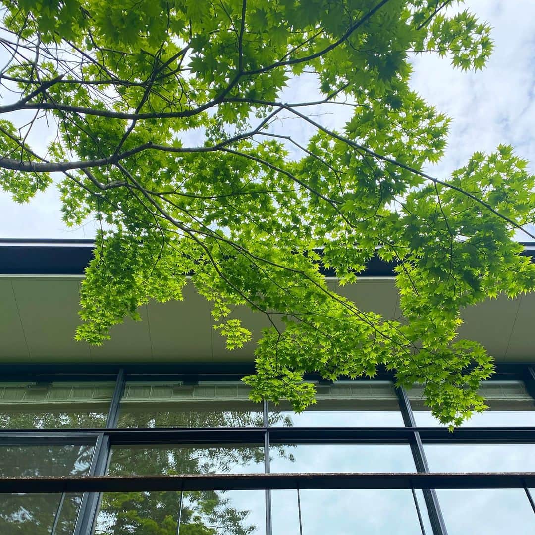 池田信太郎のインスタグラム：「憧れのKaruizawaY邸🍃 自然との融合された建築デザイン✒️  #軽井沢 #憧れのY邸 #坂倉アトリエ #新建築」