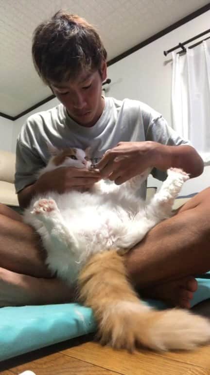 のインスタグラム
