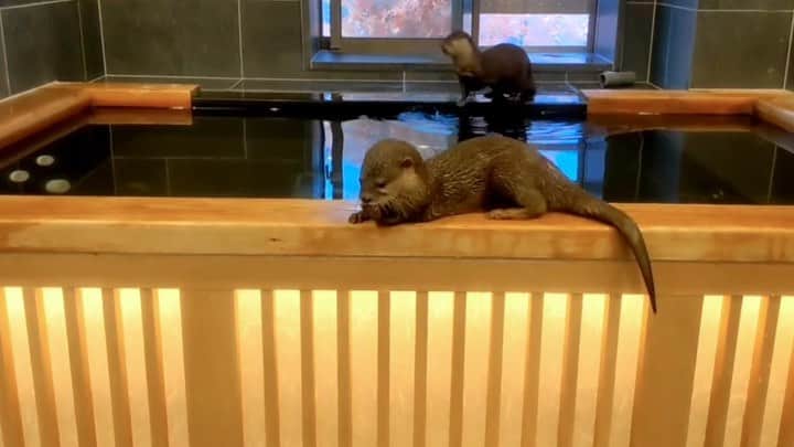 ちぃたん☆のインスタグラム