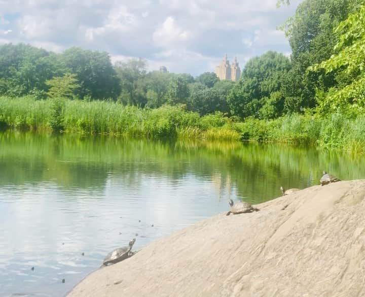 ケイティ・ホームズのインスタグラム：「Central Park 💕」