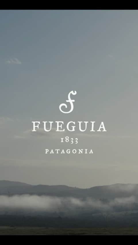 Fueguia 1833のインスタグラム：「“Fueguia 1833 today celebrates World Nature Conservation day to highlight the importance of preserving ecosystems. As a vertically integrated company, Fueguia 1833 is daily committed in respecting nature - the key ingredient - in every step of production. Fueguia Botany center in Uruguay is a clear example of the brand investment in fostering biodiversity.” @julianbedel  #WorldNatureConservationDay #Fueguia1833 #Fueguia」