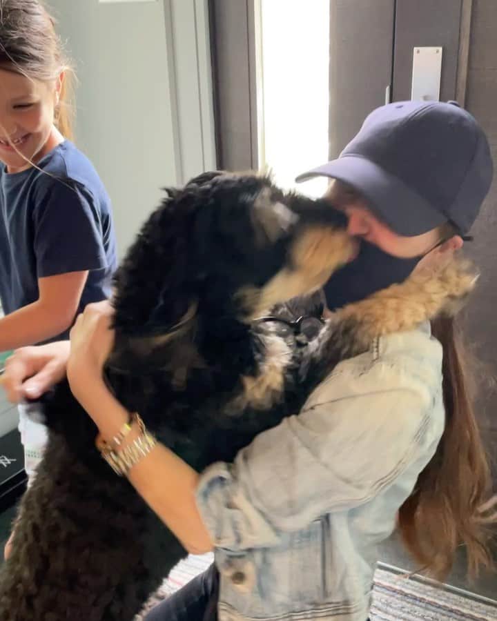 のインスタグラム：「Puppy content. We don’t deserve this kind of unconditional love ❤️ . What a wonderful homecoming from Bruce Wayne. ( not seen are the red scratch marks all over my neck and face which I wear proudly)」