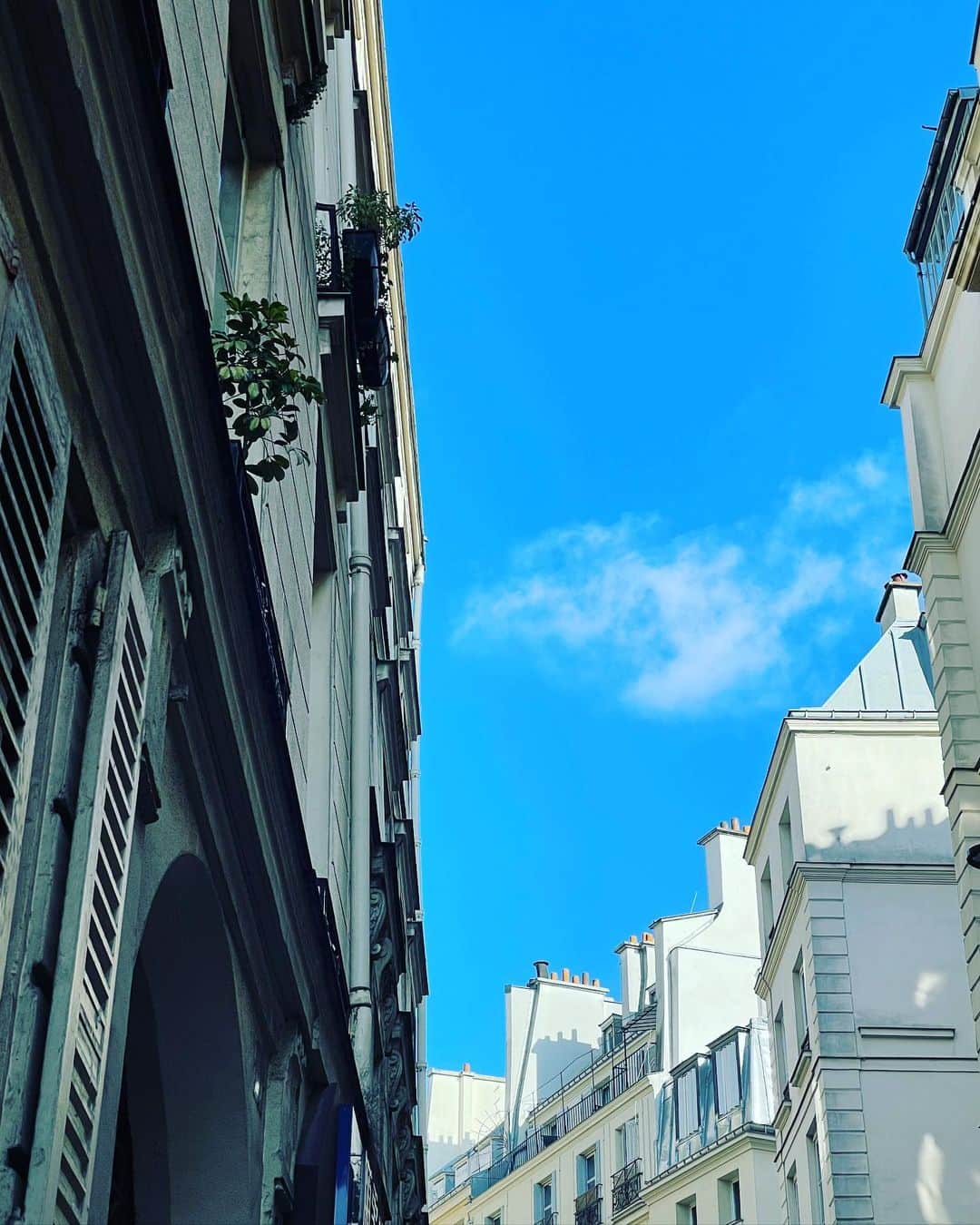 猫沢エミさんのインスタグラム写真 - (猫沢エミInstagram)「今日も7時に目が覚めた。  お茶を飲みながら、ただぼんやりとフランスのラジオチャンネルから流れる音楽を聴いていた。  やっとこんな優しい時間が訪れたか。  クロワッサンを買いに出る。  今日のパリは快晴。  夏のパリの空の青さに、パリブルーって名前をつける。  #パリンピック2021  #猫パリ」7月29日 16時52分 - necozawaemi