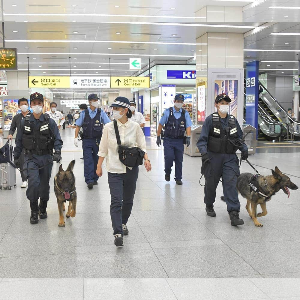 大阪府警察さんのインスタグラム写真 - (大阪府警察Instagram)「【警備犬を運用した警戒強化】 2020年東京オリンピック・パラリンピック競技大会の開催中、テロ等不法事案の未然防止を図るため、府内の主要駅のほか、関西国際空港及び大阪国際空港に、警備犬警戒隊を投入して警戒を強化しています。  #大阪府警察公式 #大阪府警察 #大阪府警 #警察 #POLICE #ポリス #おまわりさん #制服 #警備犬警戒隊 #警備犬 #警備 #警戒 #テロ未然防止 #テロ #新大阪駅 #梅田駅 #難波駅 #関西国際空港 #関西空港 #大阪国際空港 #大阪空港 #tokyo2020 #2020東京オリンピック #東京オリンピック #オリンピック2020 #オリンピック #パラリンピック #がんばれ日本 #がんばれニッポン #安全安心」7月29日 17時30分 - fukei_koho