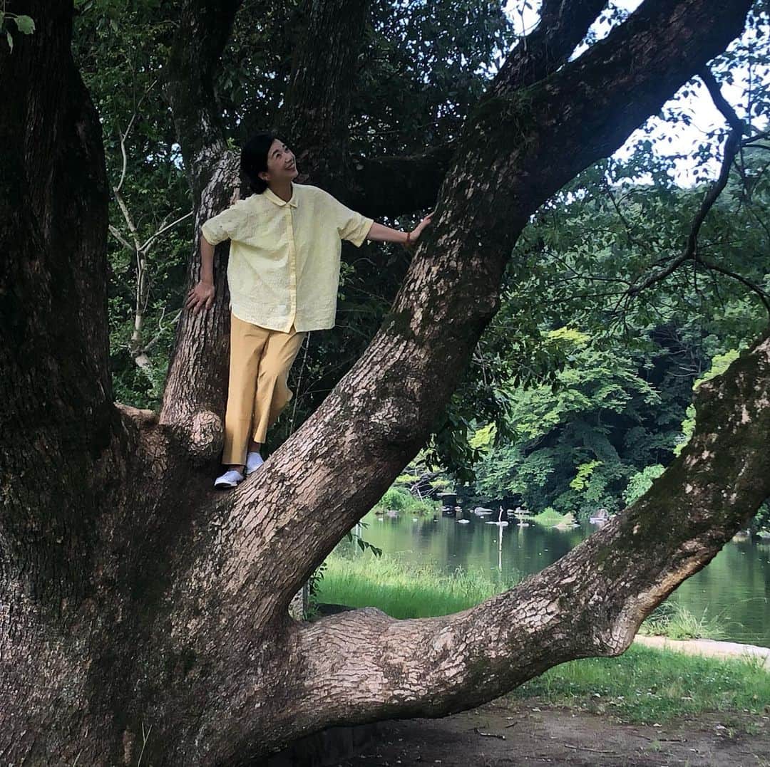 宮崎美子さんのインスタグラム写真 - (宮崎美子Instagram)「皆さん、こんにちは。  毎日暑い☀️ですね。  そんな中、木に登りました。子供の頃から木登りが好きだったような…それがボルダリングに繋がっているのかもしれません。  帰りにステキなカフェで、また、素敵なバッグを見つけました。  #熊本#木登り#熊本カフェ」7月29日 9時26分 - miyazakiyoshiko.official