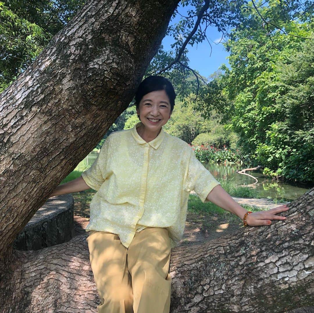 宮崎美子さんのインスタグラム写真 - (宮崎美子Instagram)「皆さん、こんにちは。  毎日暑い☀️ですね。  そんな中、木に登りました。子供の頃から木登りが好きだったような…それがボルダリングに繋がっているのかもしれません。  帰りにステキなカフェで、また、素敵なバッグを見つけました。  #熊本#木登り#熊本カフェ」7月29日 9時26分 - miyazakiyoshiko.official