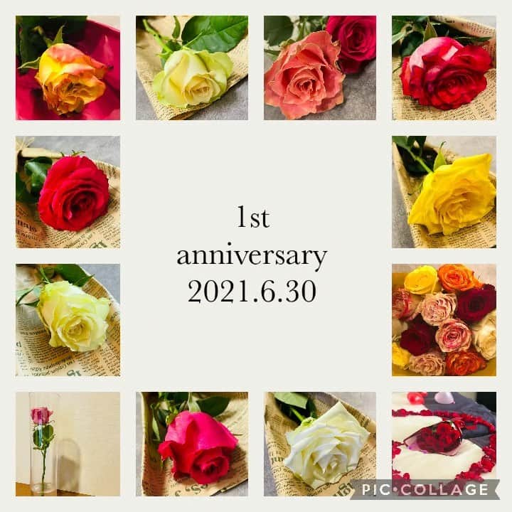 高崎愛梨のインスタグラム：「1st anniversary🌹 ー2021.6.30ー  (かれこれ1ヶ月経つけど…w) はじめての結婚記念日を迎えました！  プロポーズの時から毎月30日にくれる バラ達をまとめてみた🥰  12本のバラ＝『ダズンローズ』 「感謝・誠実・幸福・信頼・希望・愛情・情熱・真実・尊敬・栄光・努力・永遠」 という意味が込められてるんだって。 改めて確認すると、夫婦にとって必要不可欠な言葉たちな気がする🤔  同棲生活は5年目になるのだけど、日々の生活の中で夫婦になった喜びを今も感じれてます♩ たまーに言い合いもするけど、基本寝れば忘れちゃう二人だからケンカは続かないんだな😅 とにかく毎日が楽しいに尽きる！！ これからも変わらずよろしくね♩ いつもありがとう😆  #はじめての結婚記念日 #のろけ記録 #ダズンローズ #今年はあるのだろうか　←」