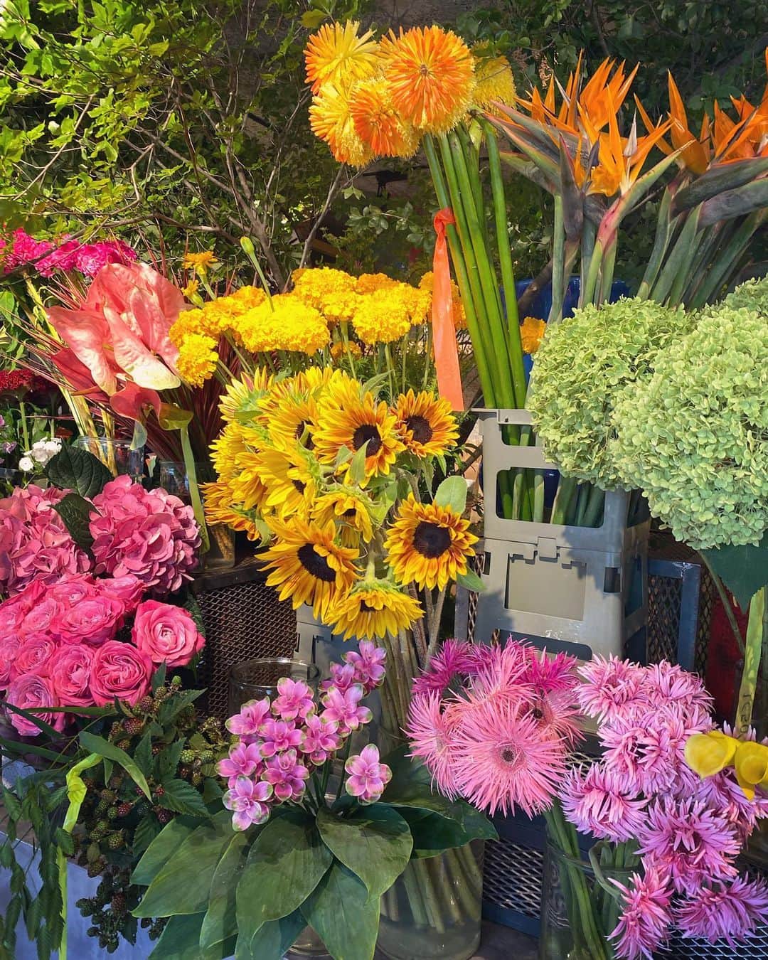 翁安芸さんのインスタグラム写真 - (翁安芸Instagram)「自宅の鉢植えのお花と枝物を買いに🌿🌼 @allgoodflowers   #tokyo #flowershop #allgoodflowers #akiweng #ganni #coel #ceciliebahnsen」7月29日 14時57分 - akinyc
