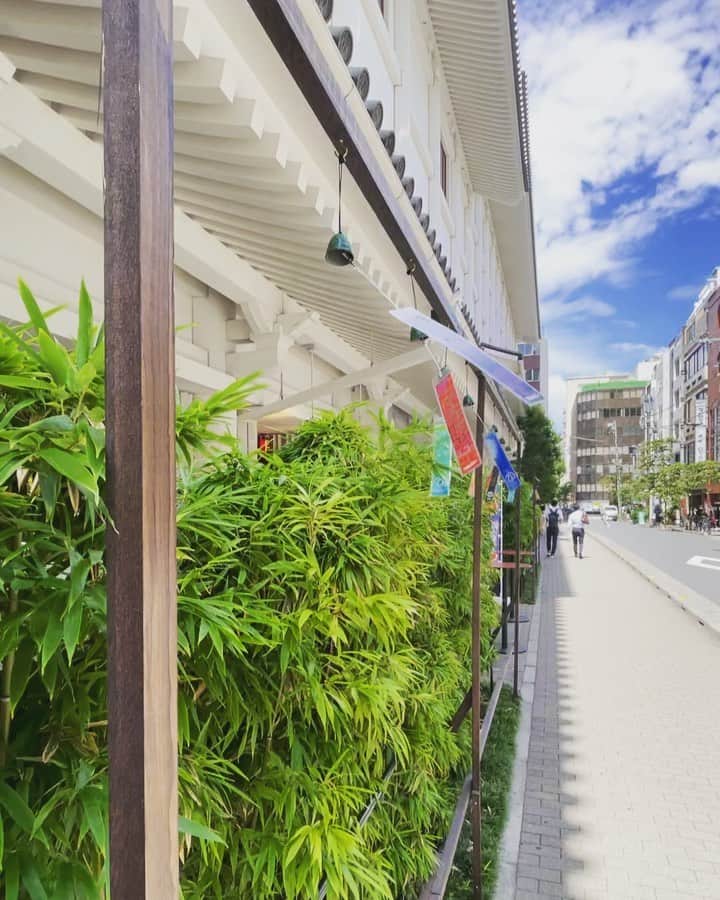 西田善太のインスタグラム：「木挽町風鈴2021夏。10秒だけお涼みください🎐 #歌舞伎座」